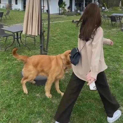 拉斯维加斯婴儿