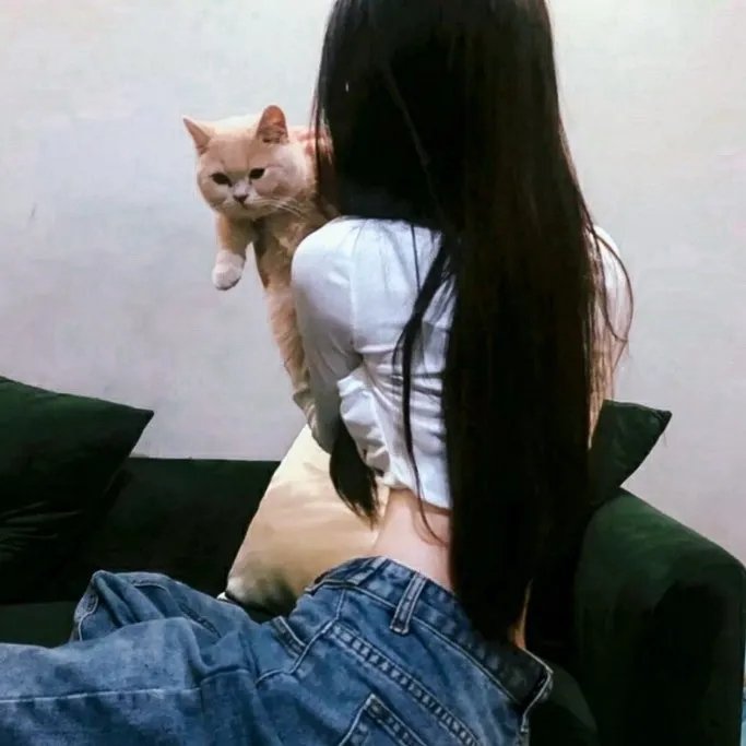 犬神家族